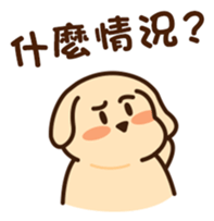 342977245