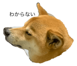 343040552