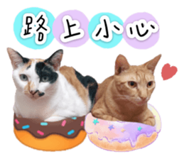 343176232