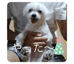 343179321