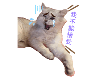 343185122