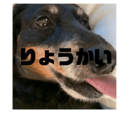 343244748