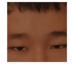 343256018