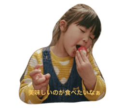34326376