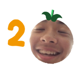 343270204