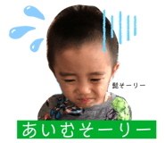 343311257