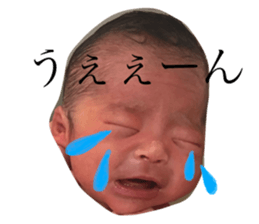 34331240