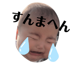 343330096