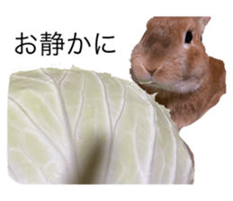 343333690