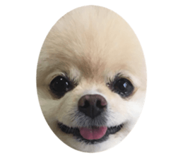 343334147
