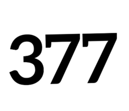 343337749