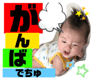 343338893