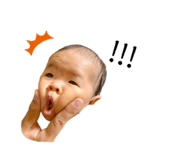 343355685