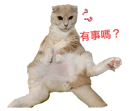 343425319