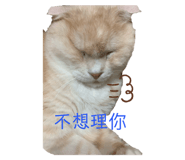 343425321