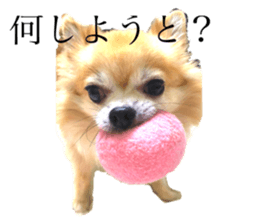 343464053