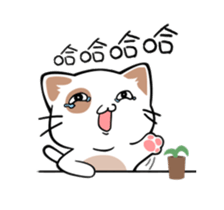 343504448