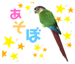 343531737