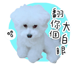 343559419