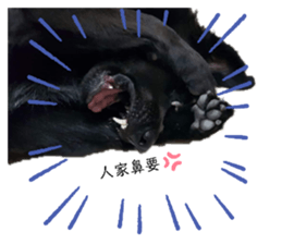 343613703