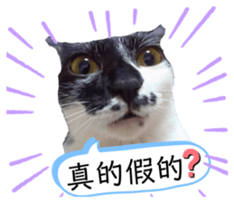 343766877