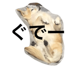 34377436
