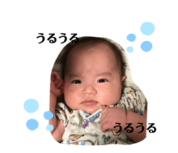 343808455
