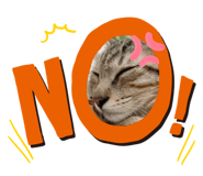 343808591