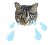 343822960