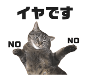 343822962