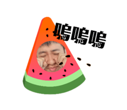 343855168