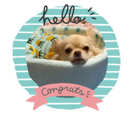 343885526
