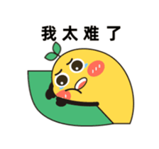 343893529