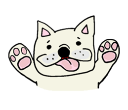 3439217