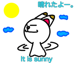 343955666