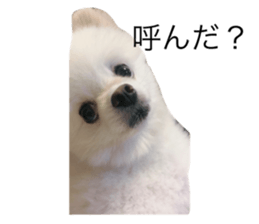 343977117