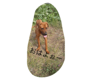 343979050