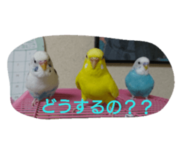 34401534