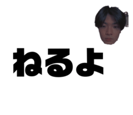 344037156