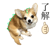 344040247