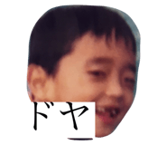 344043513