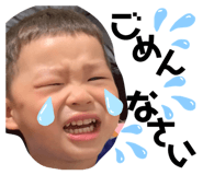 344061731