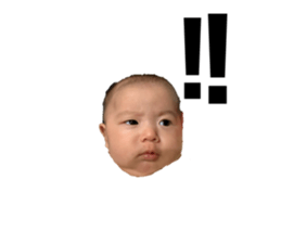 344071369