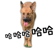 344214503