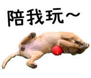 344214516