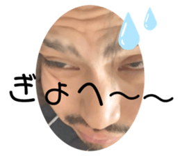 344237542
