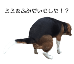 344242689