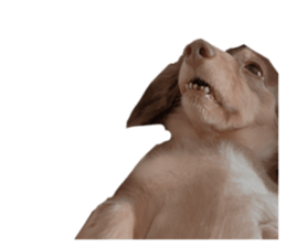 344304546