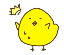 3443243