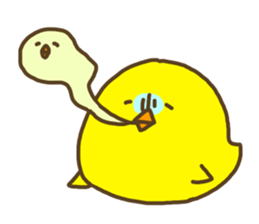 3443245